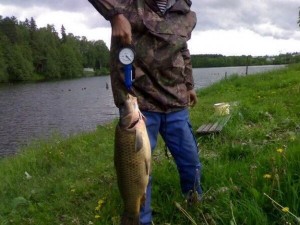 Рыбалка на хариуса в красноярском крае - Выбираем лучшие