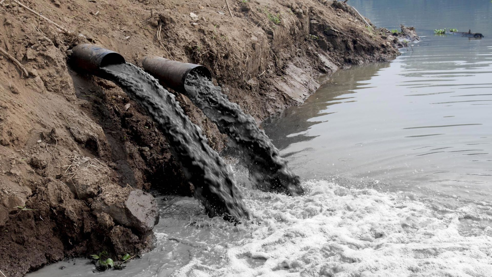 загрязнение экологии в реках кемеровской области