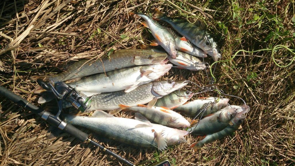 Рыбалка в Жуковском: лучшие места для азартного улова
