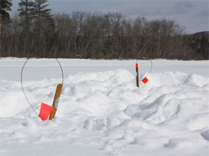 Успешная ловля щуки на жерлицы зимой